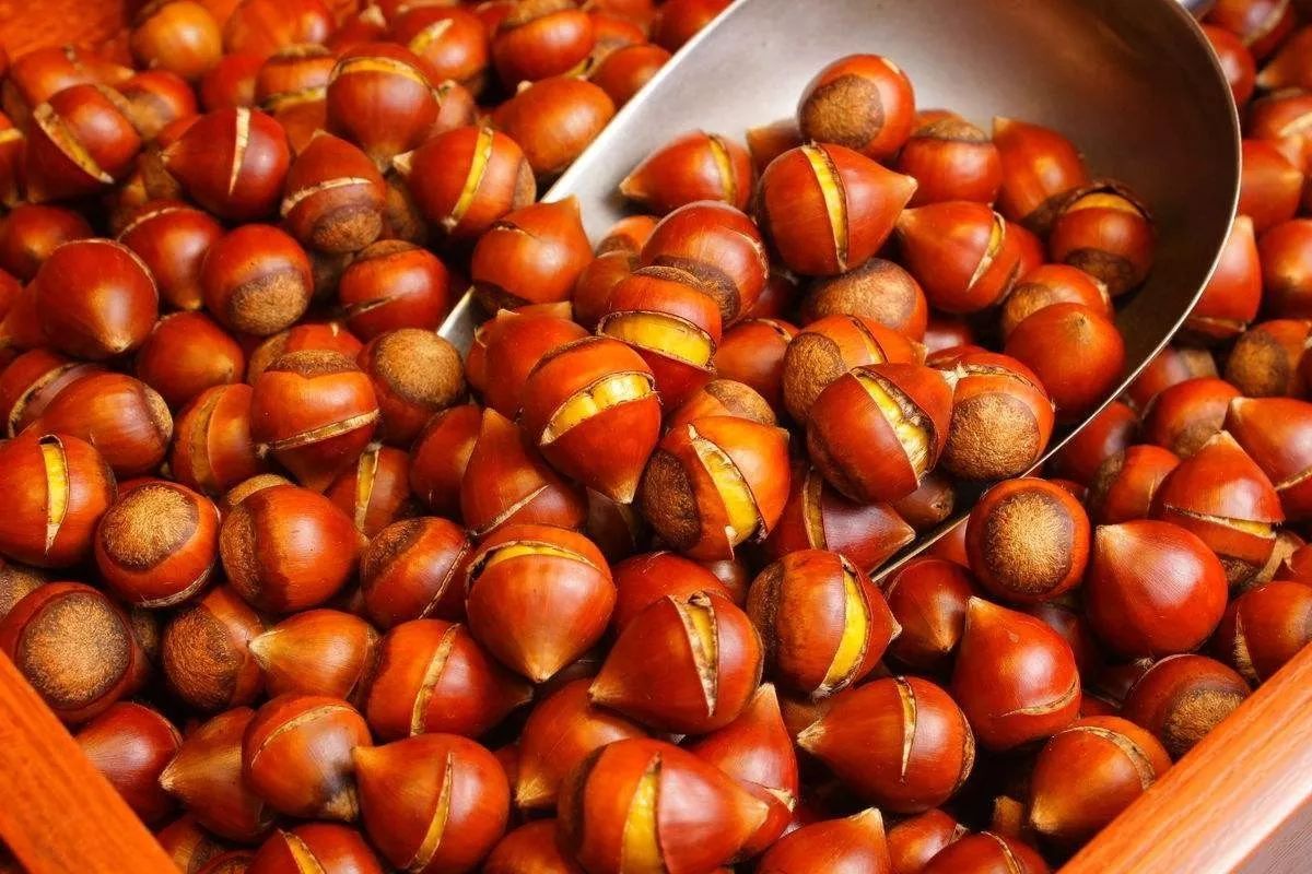 74d816f7d5a24fad9df9cec6c47c2a1e.jpeg 图片